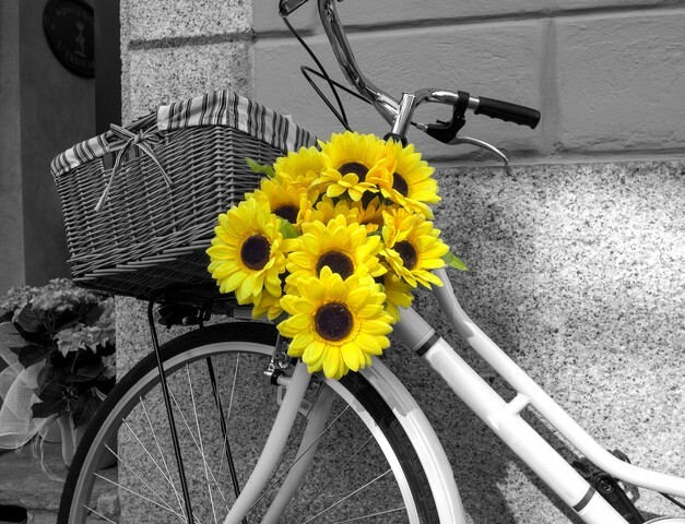 Bicycle decorated with sunflowers